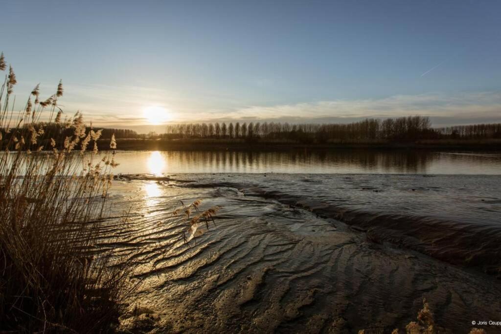 Amand'Eau - Zwemvijver, Zonneterras, Grote Tuin Sint-Amands エクステリア 写真