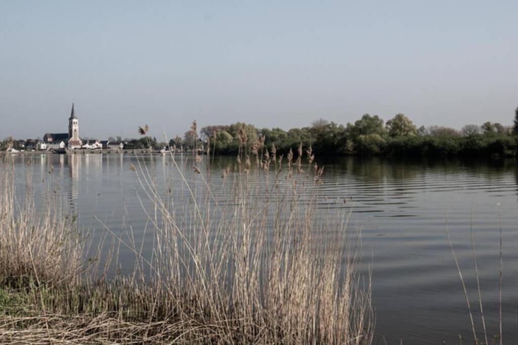 Amand'Eau - Zwemvijver, Zonneterras, Grote Tuin Sint-Amands エクステリア 写真
